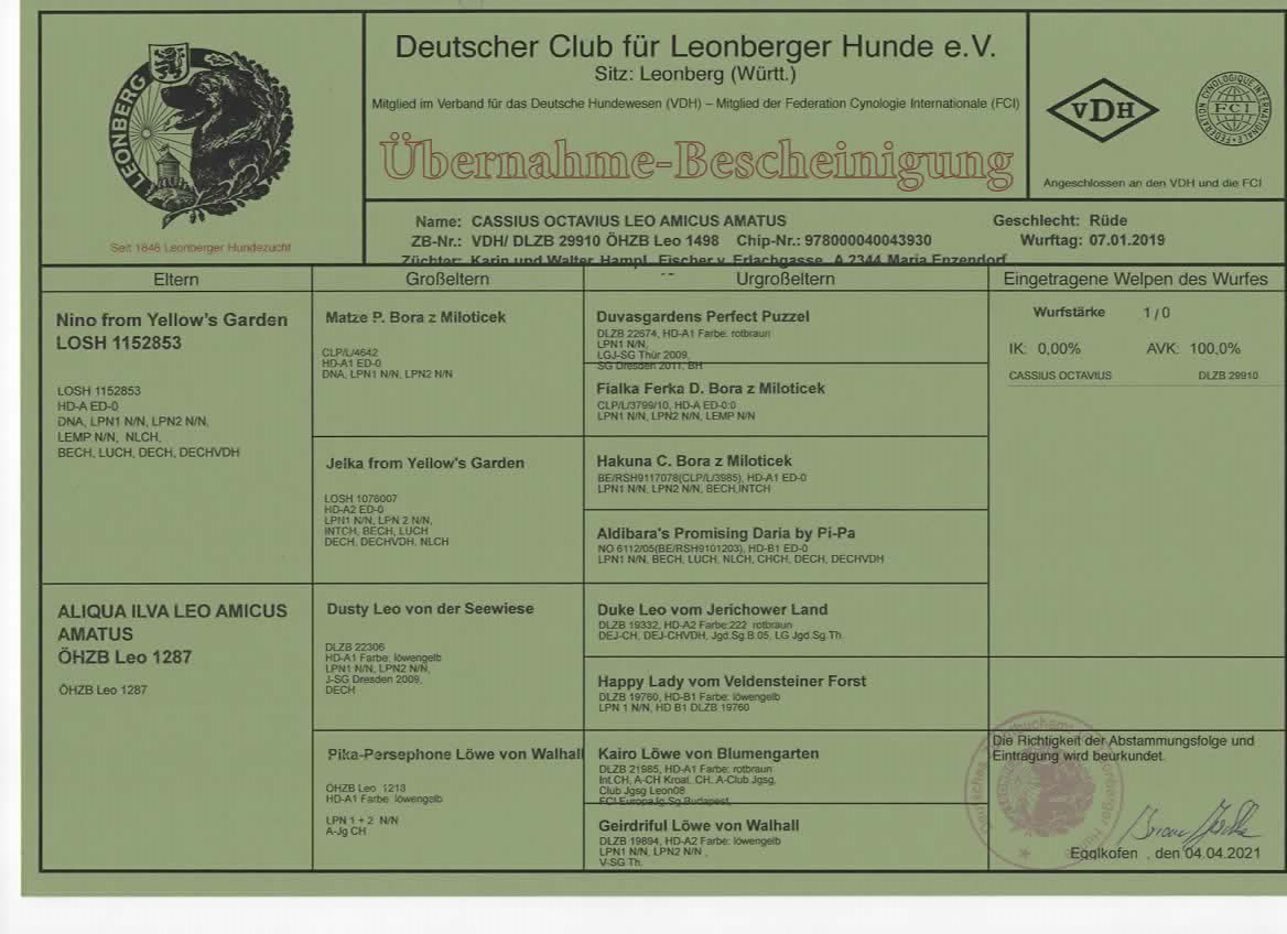 Ahnentafel Octavius DCLH HP